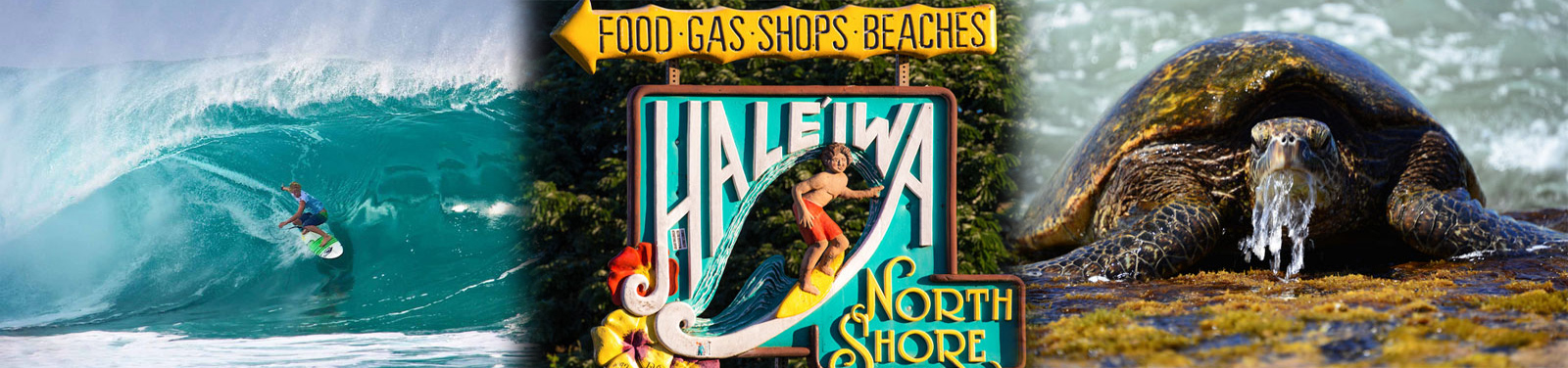 Oahu Photography Tours - North Shore Photo Tour 