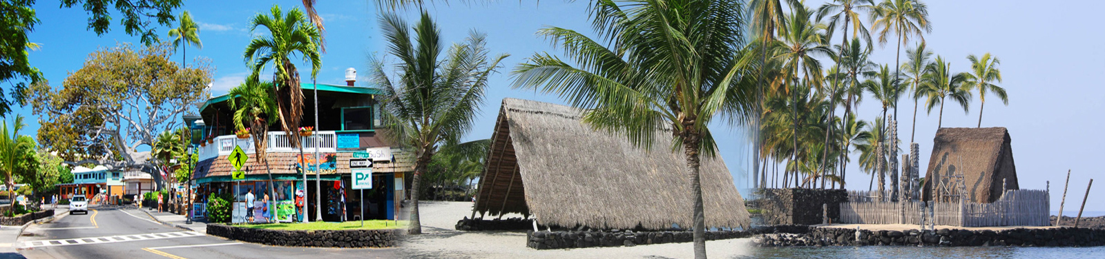 Wasabi Tours - Historic Kona and Farm Tour