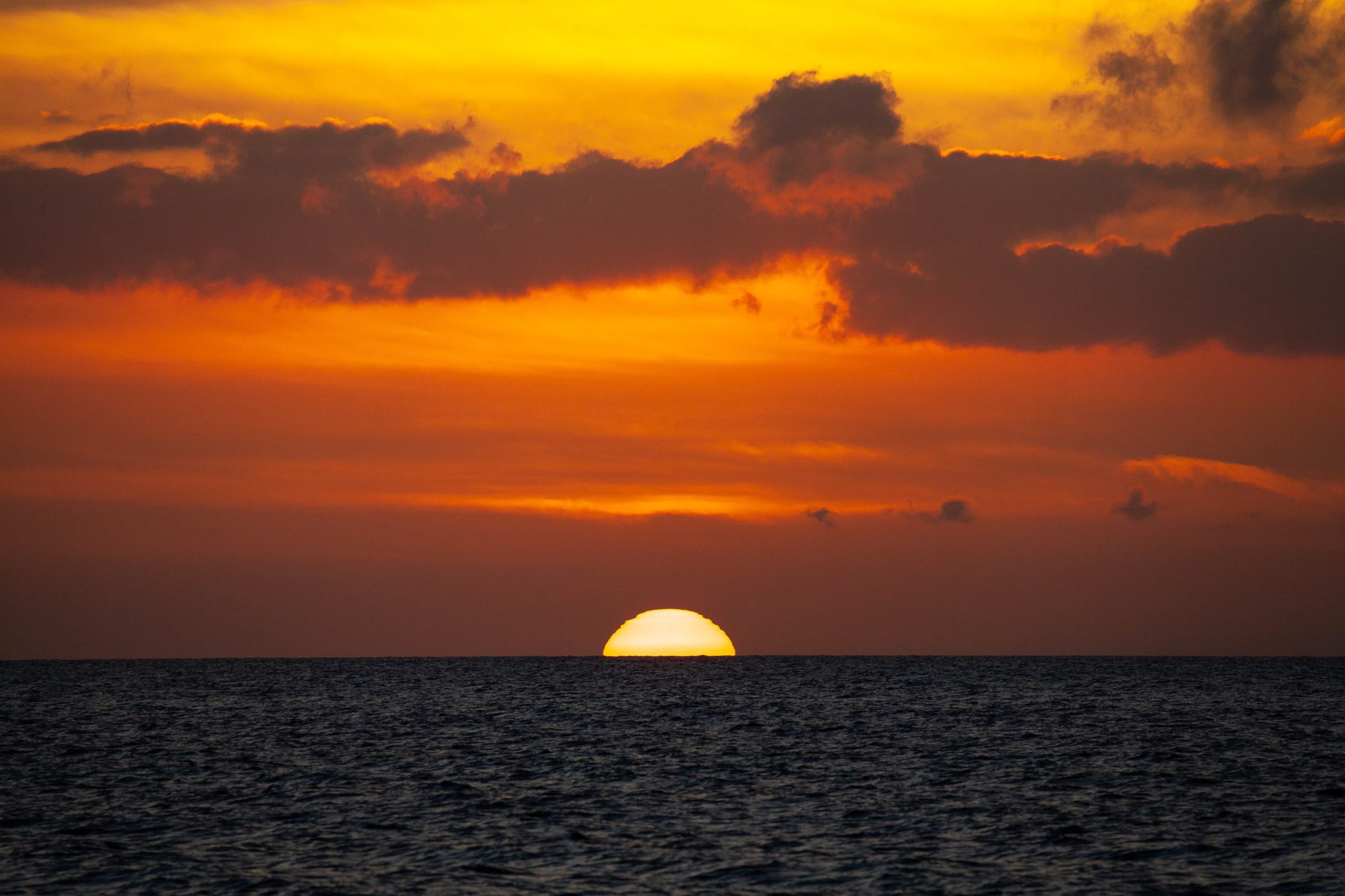 Sunset Cocktail Cruise