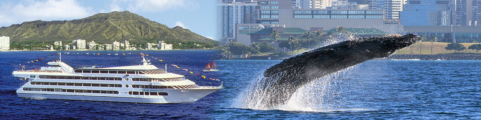 Star of Honolulu - Early Bird Whale Watch Cruise