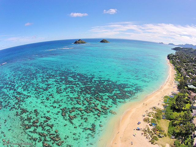 Guided Kayak Excursion oahu