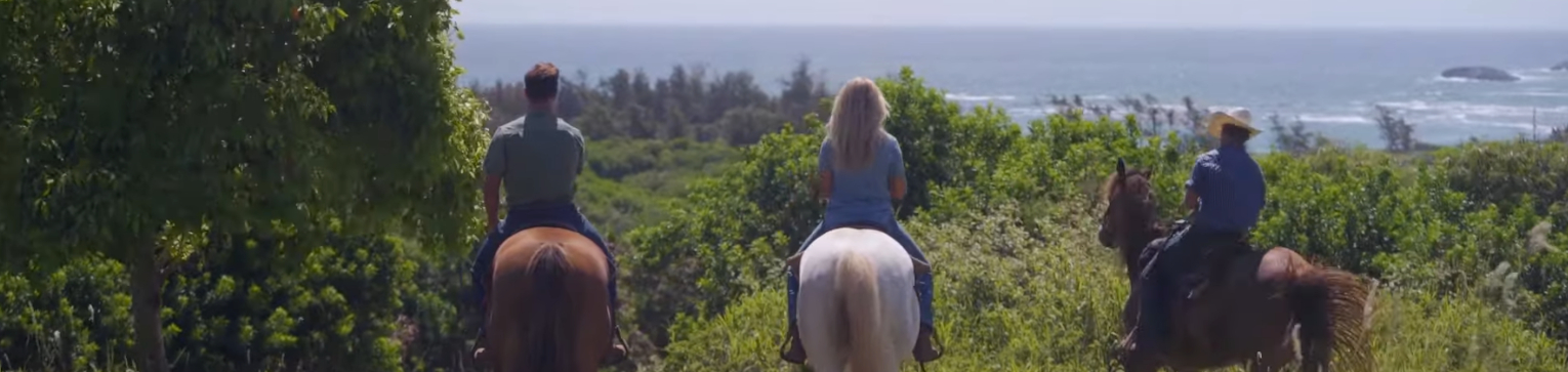 Gunstock Ranch Horseback Riding
