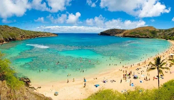 Roberts Hawaii - Hanauma Bay Experience Tour Package 