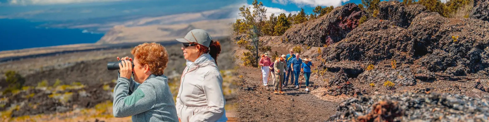 Hawaii Forest & Trail - Volcano Direct Hiking Adventure 