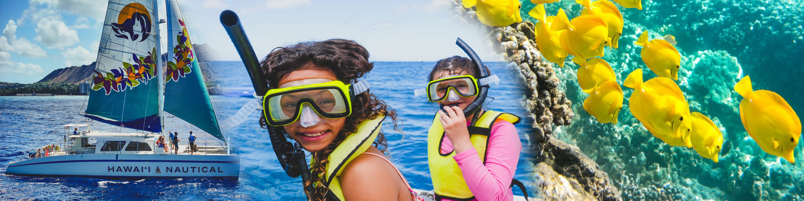 Waikiki Turtle Snorkel Sail (Kewalo Harbor) 