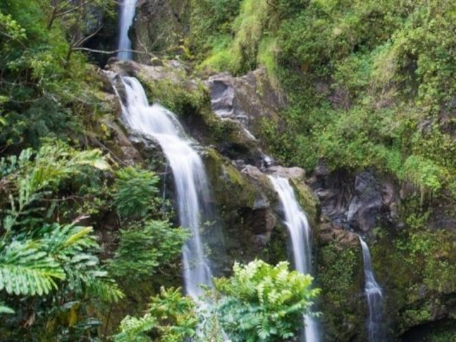 Hike Maui Tours