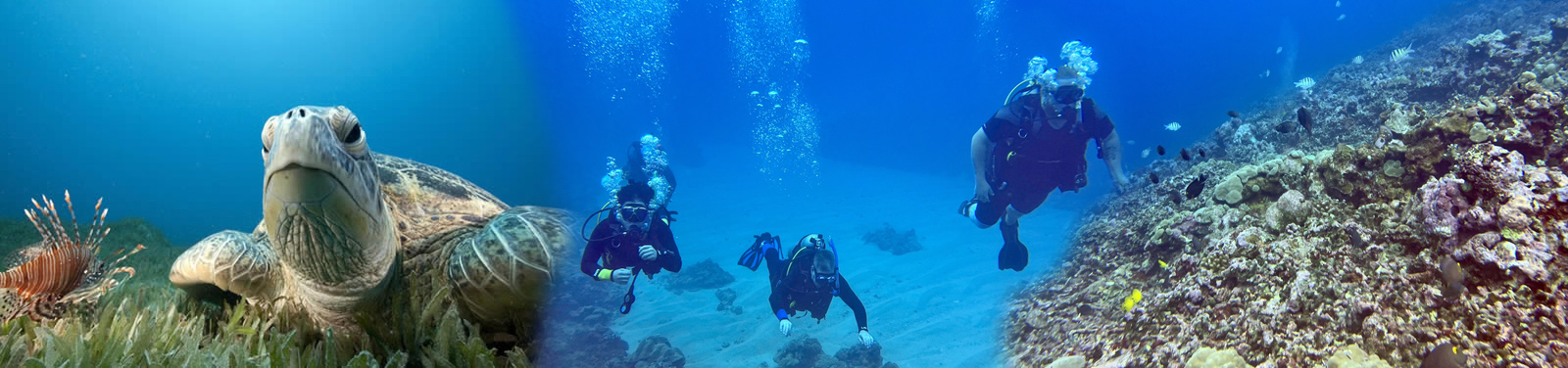 Hilo Ocean Adventures