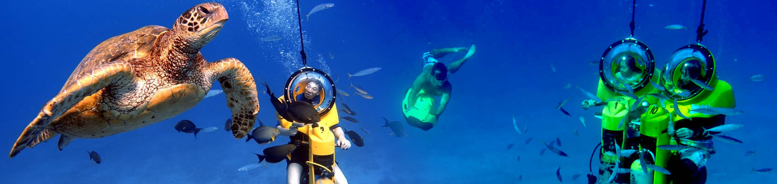 Island Watersports in Oahu