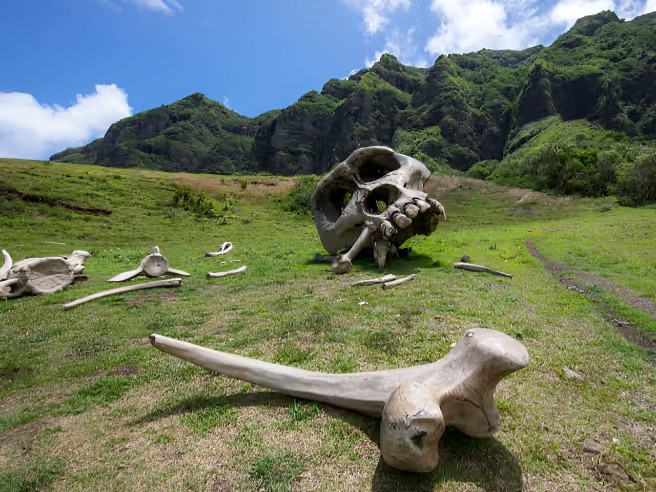 Kualoa Ranch Hollywood Movie Sites and Ranch Tour