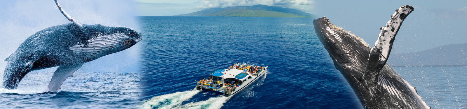 Malolo Charters Maui