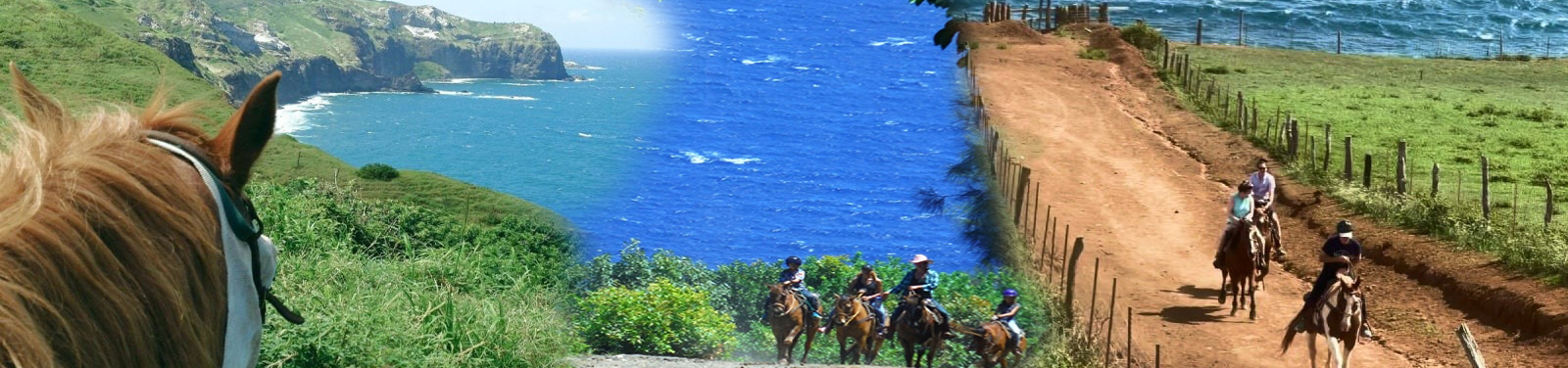 Maui Trail Rides
