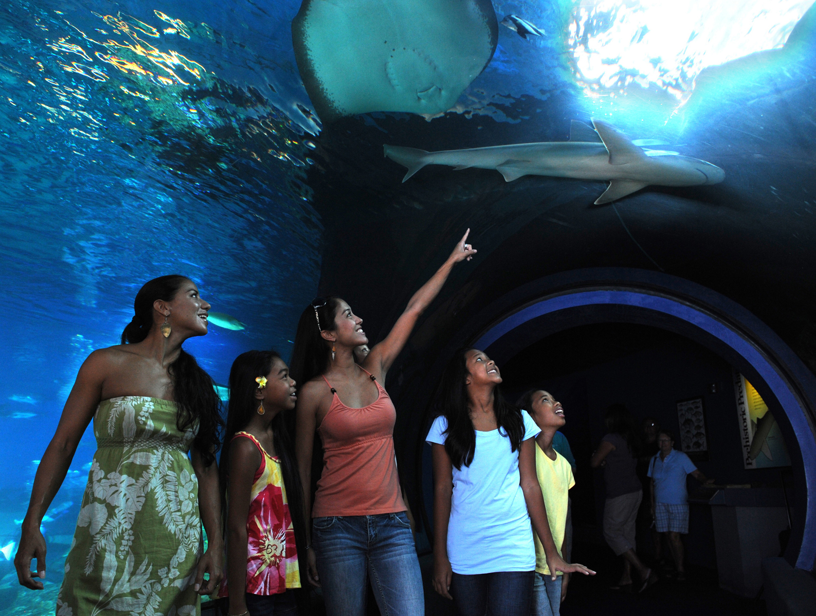 Maui Aquariums and Zoos