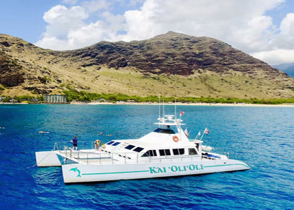 Hawaii Snorkel Tour 