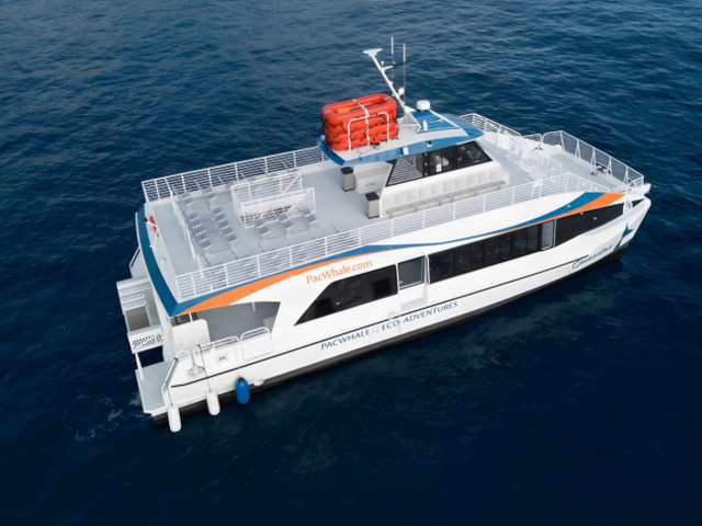 Pacific Whale Foundation 