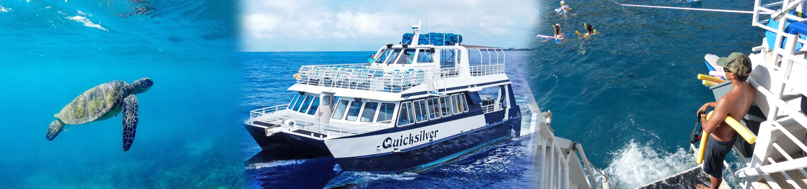 Quicksilver Charters - Turtle Town Afternoon Snorkel 