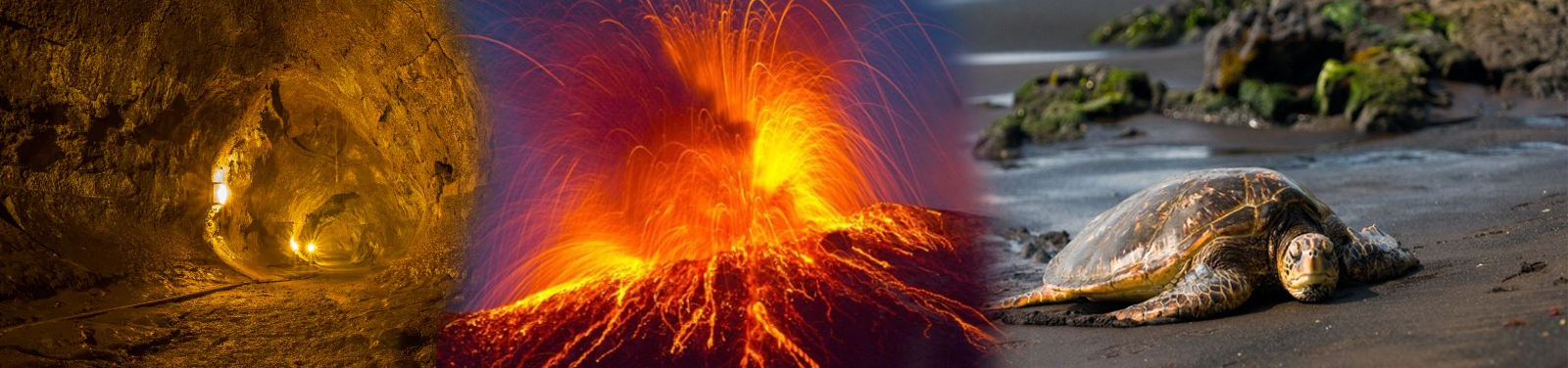 Roberts Hawaii - Hilo Volcano Tour 
