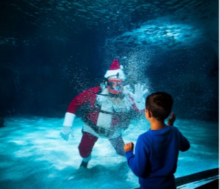 Scuba Santa and His Underwater Elves at Sea Life Park Hawaii