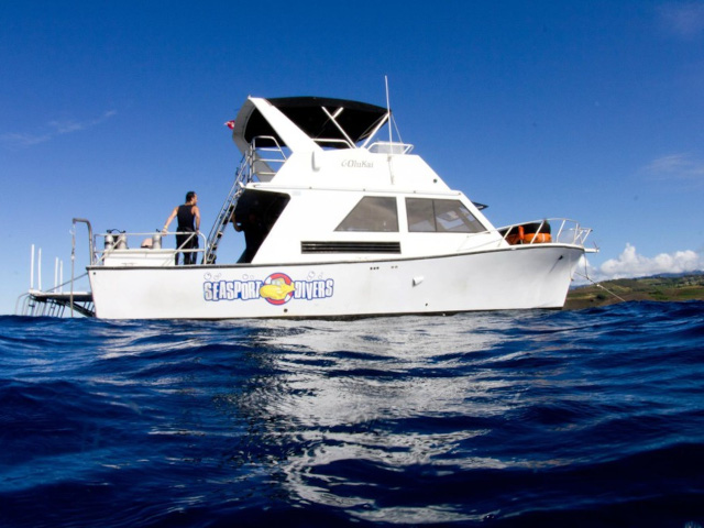 Seasport Divers shore dives and boat charters on kauai