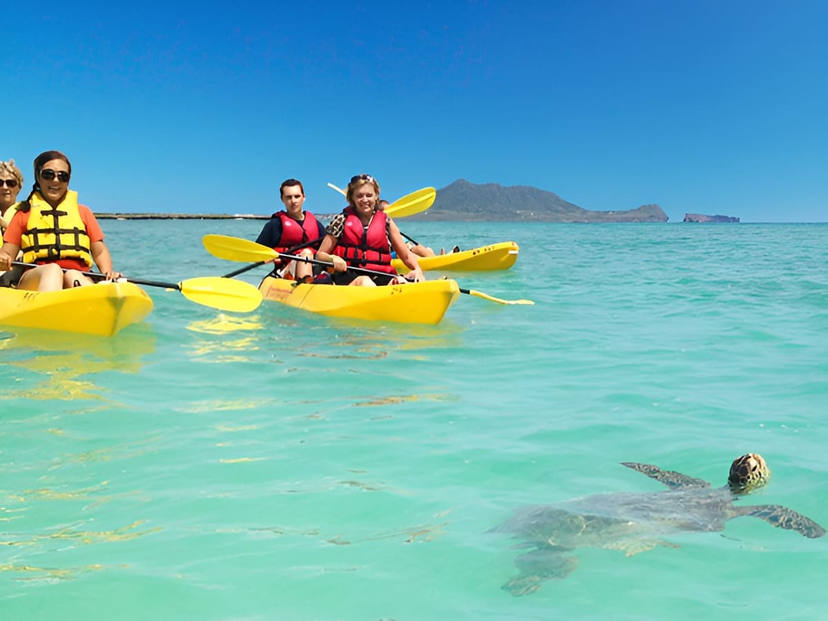 Kailua Beach Adventures - 2 Hour Guided Kayak Excursion