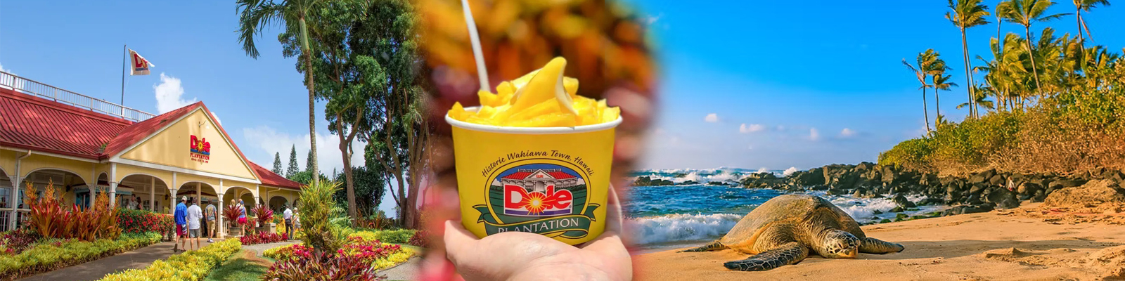 Aloha Hawaii Tours - Sights & Bites Circle Island Tour