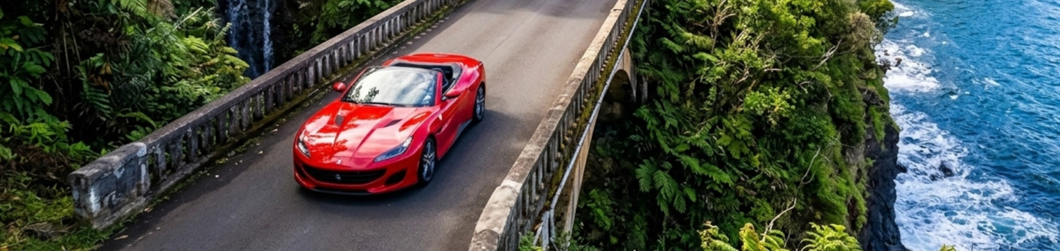 Alamo Car Rentals