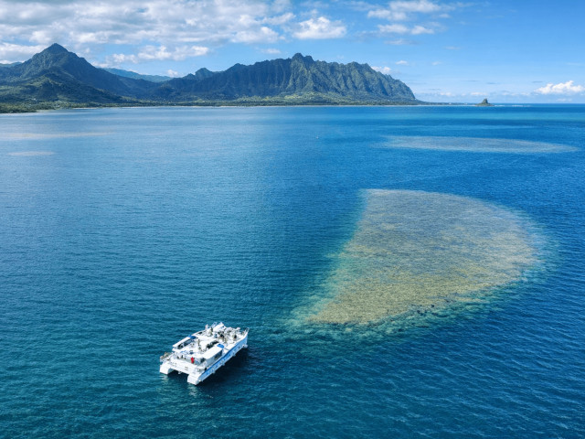 All Hawaii Cruises
