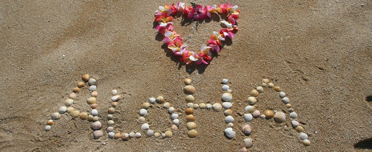 Hawaii Group Tours 