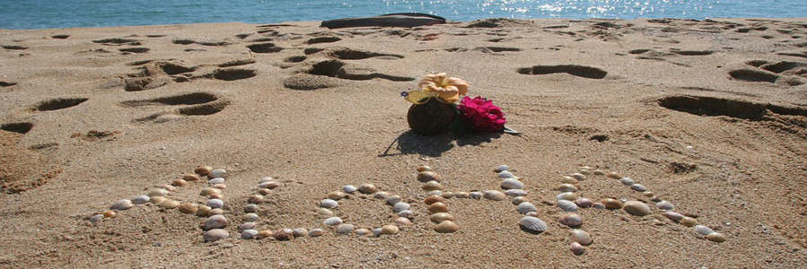 What is the Spirit of Aloha? 