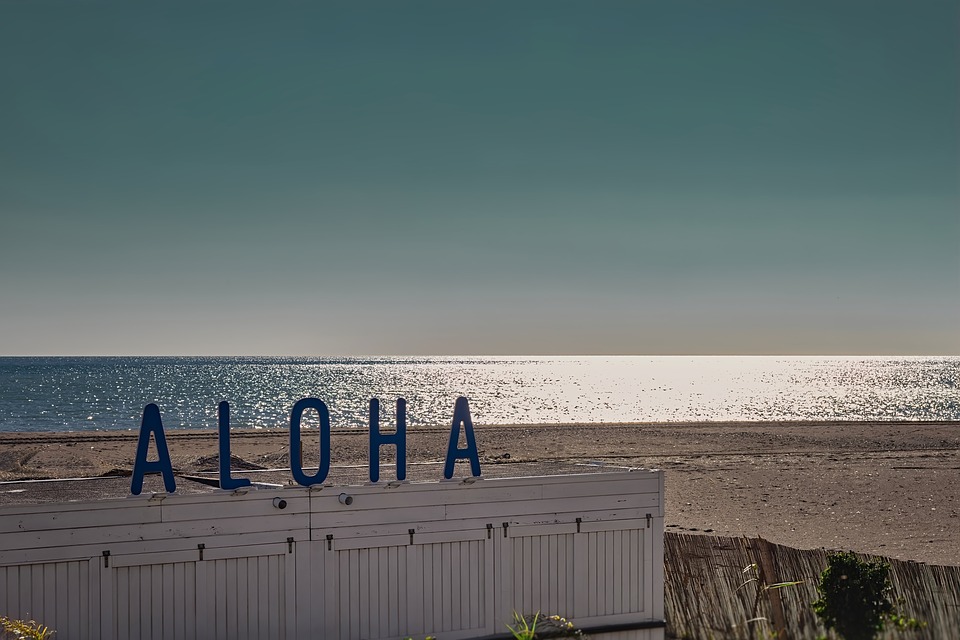 What You’ll Love About Hawaii 