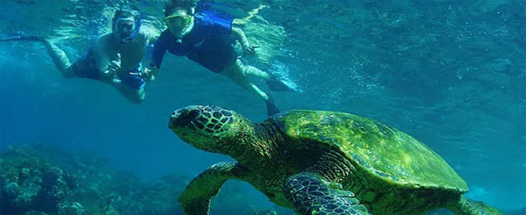 Aloha Hawaii Tours