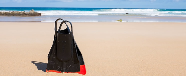 The Best Hawaii Snuba Tours for 2016 
