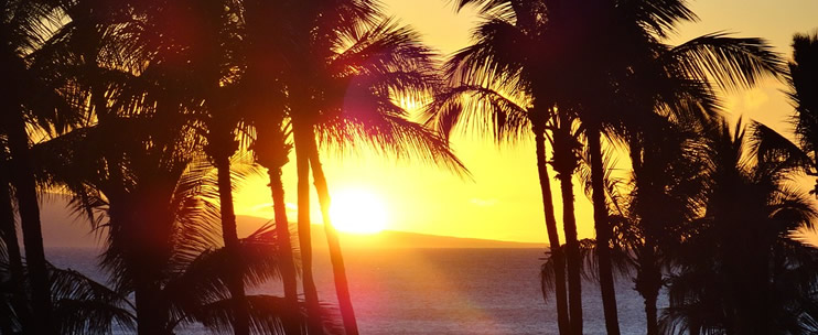 Hawaii Group Activities
