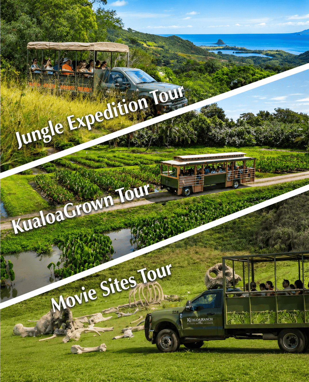 Kualoa Ranch - Best of Kualoa Experience Package