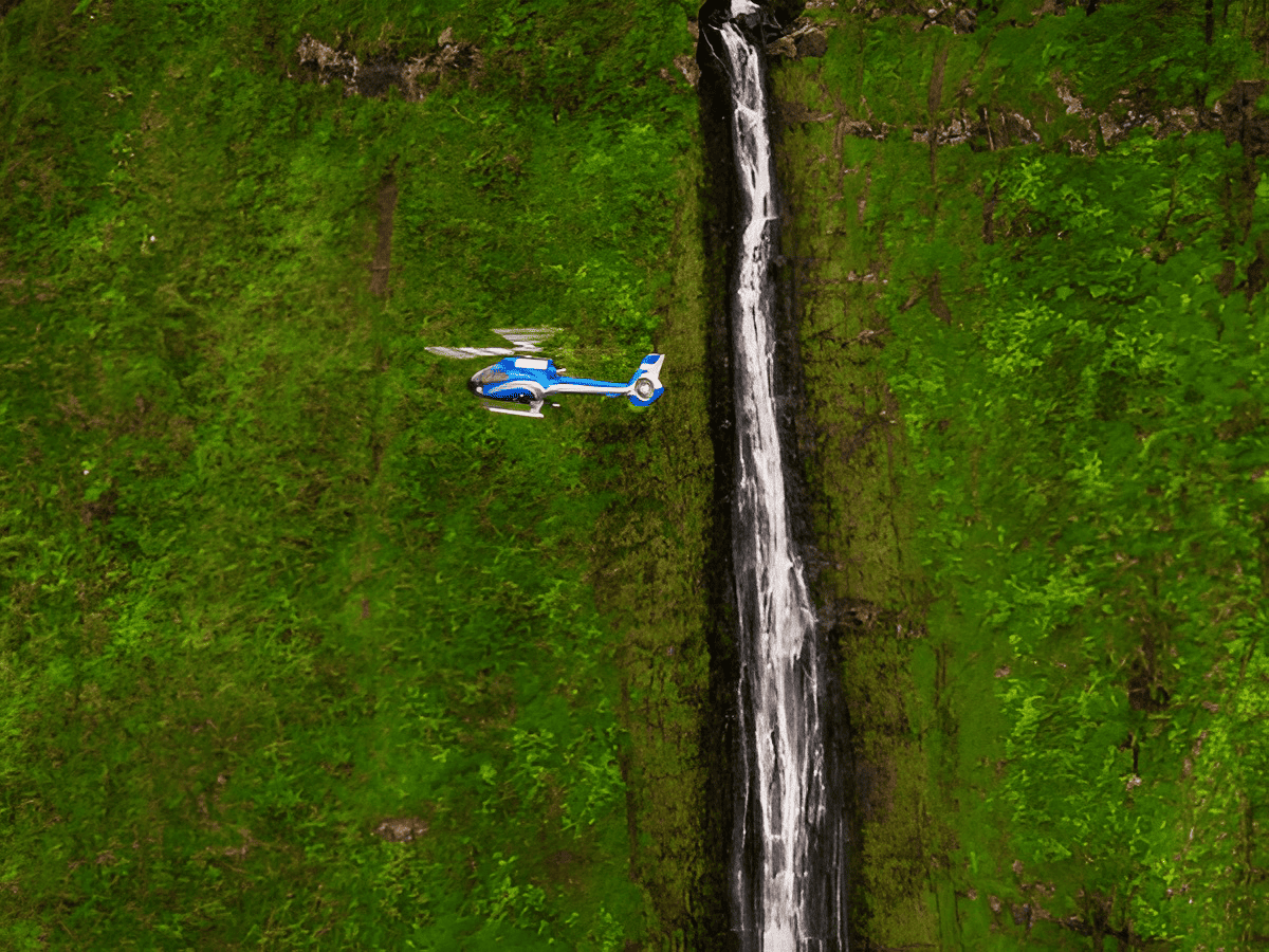 Blue Hawaiian Helicopters - Hana Rainforest