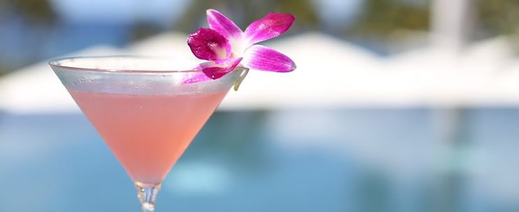 Vacation, Hawaiian Style!
