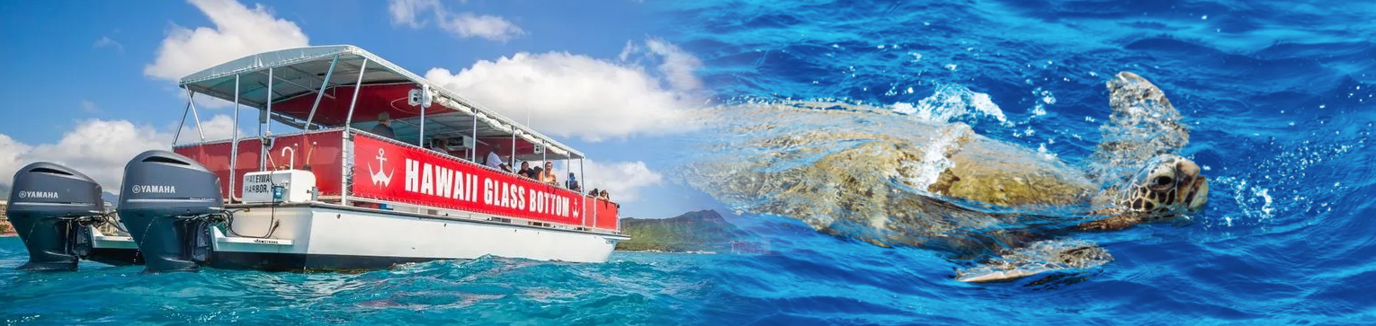 daytime glass bottom boat tour