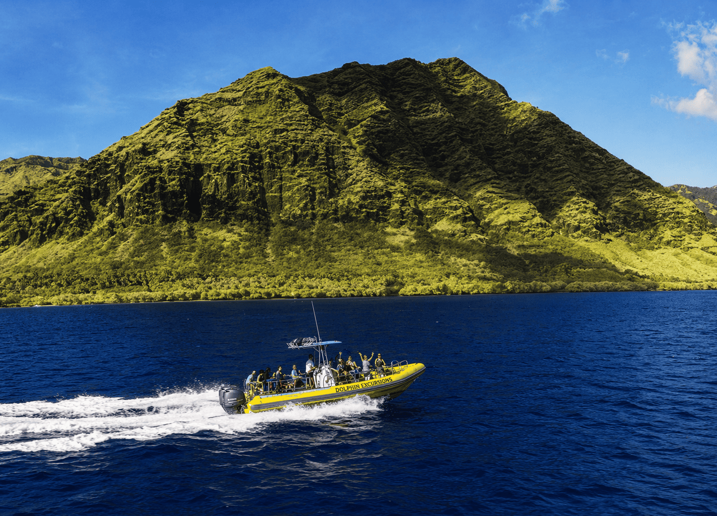 Dolphin Excursions Wild Dolphin Encounter