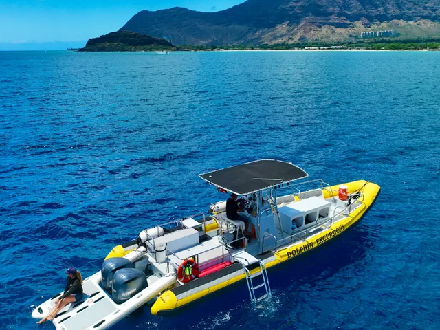 Dolphin Excursions