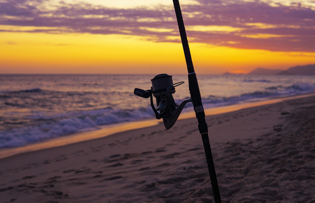      Boom Boom Fishing Boom Boom Fishing 
