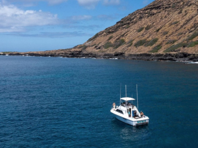 Go Adventure Oahu Hawaii 