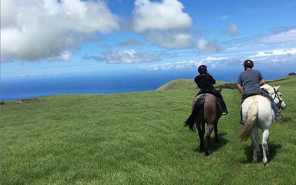 Na'alapa Stables Tour