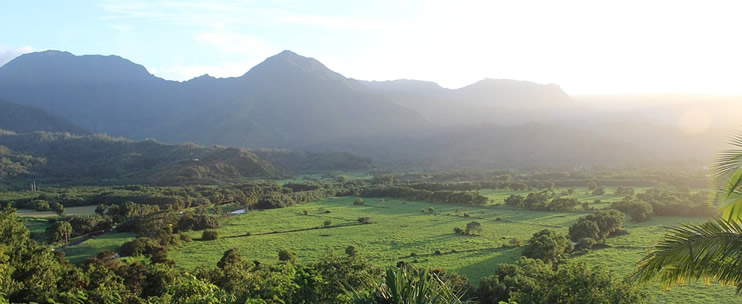 Hawaii Adventure Tours – Zipline in Hawaii 