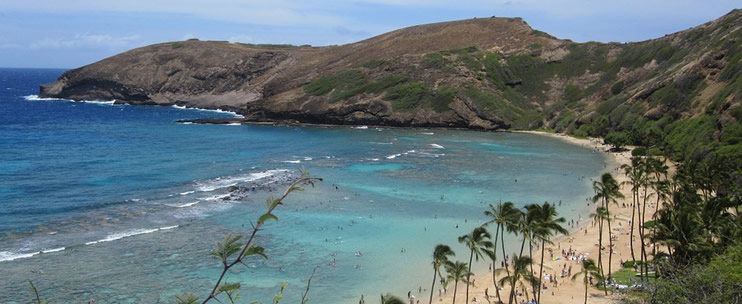 Snorkeling in Hawaii