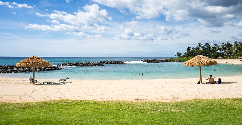 Which Hawaii Group Tours Do You Want To Do?