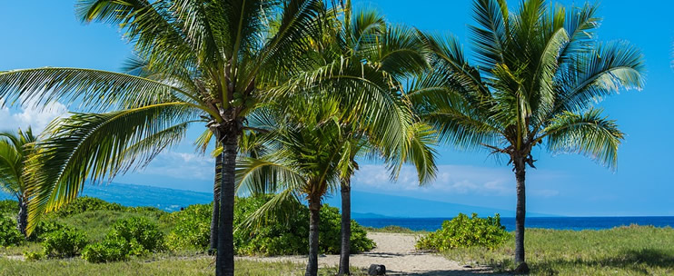 Selecting the Right Hawaii Activities