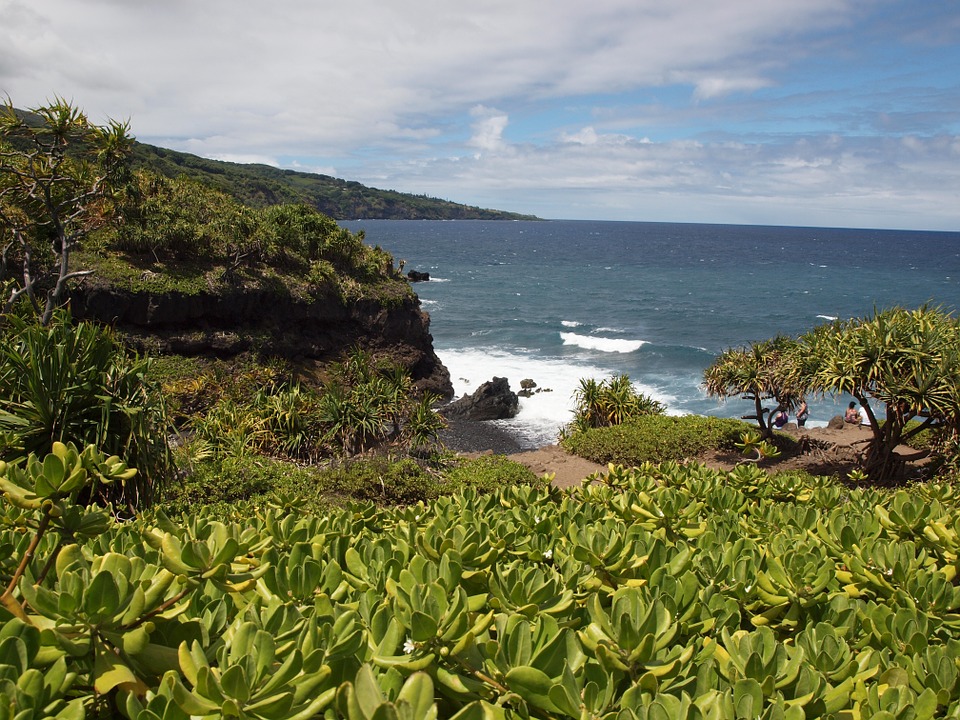 3 Tours for Your Hawaii Group Vacation
