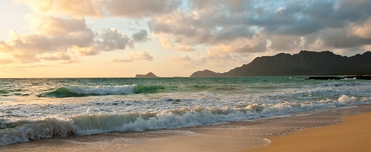 Circle Island Tours of Oahu 