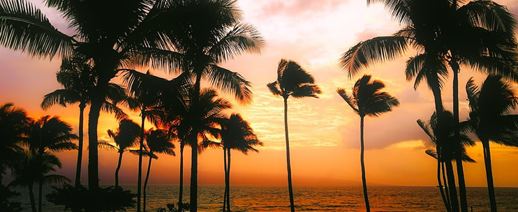Experience the Magic of a Hawaiian Sunset