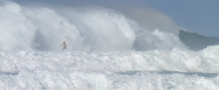 Surf’s Up in Hawaii
