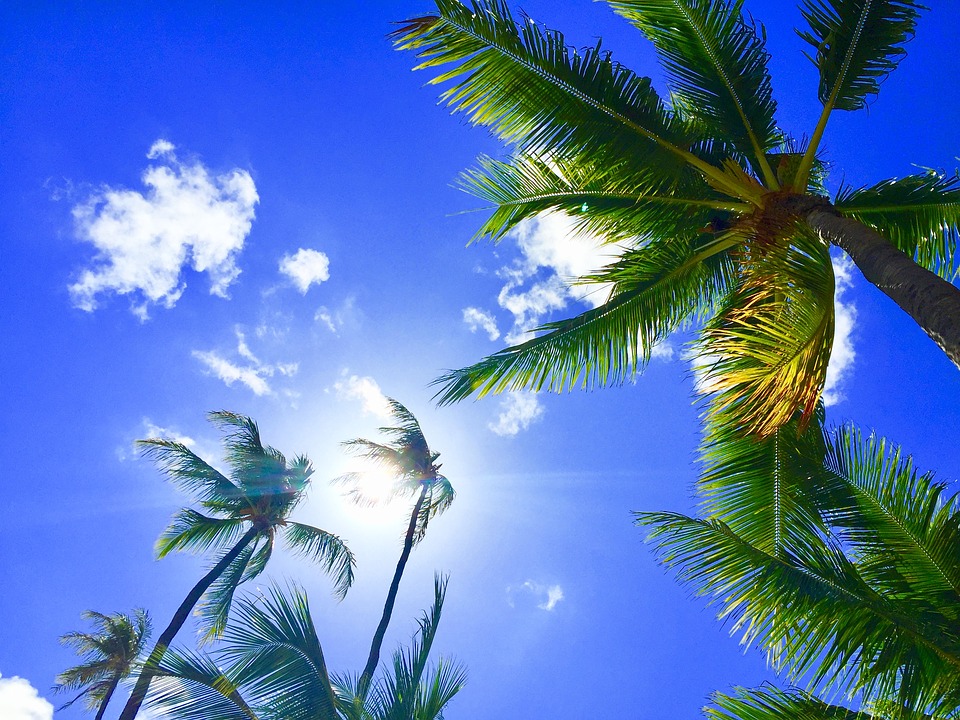 Hawaii Vacation Do’s and Don’ts